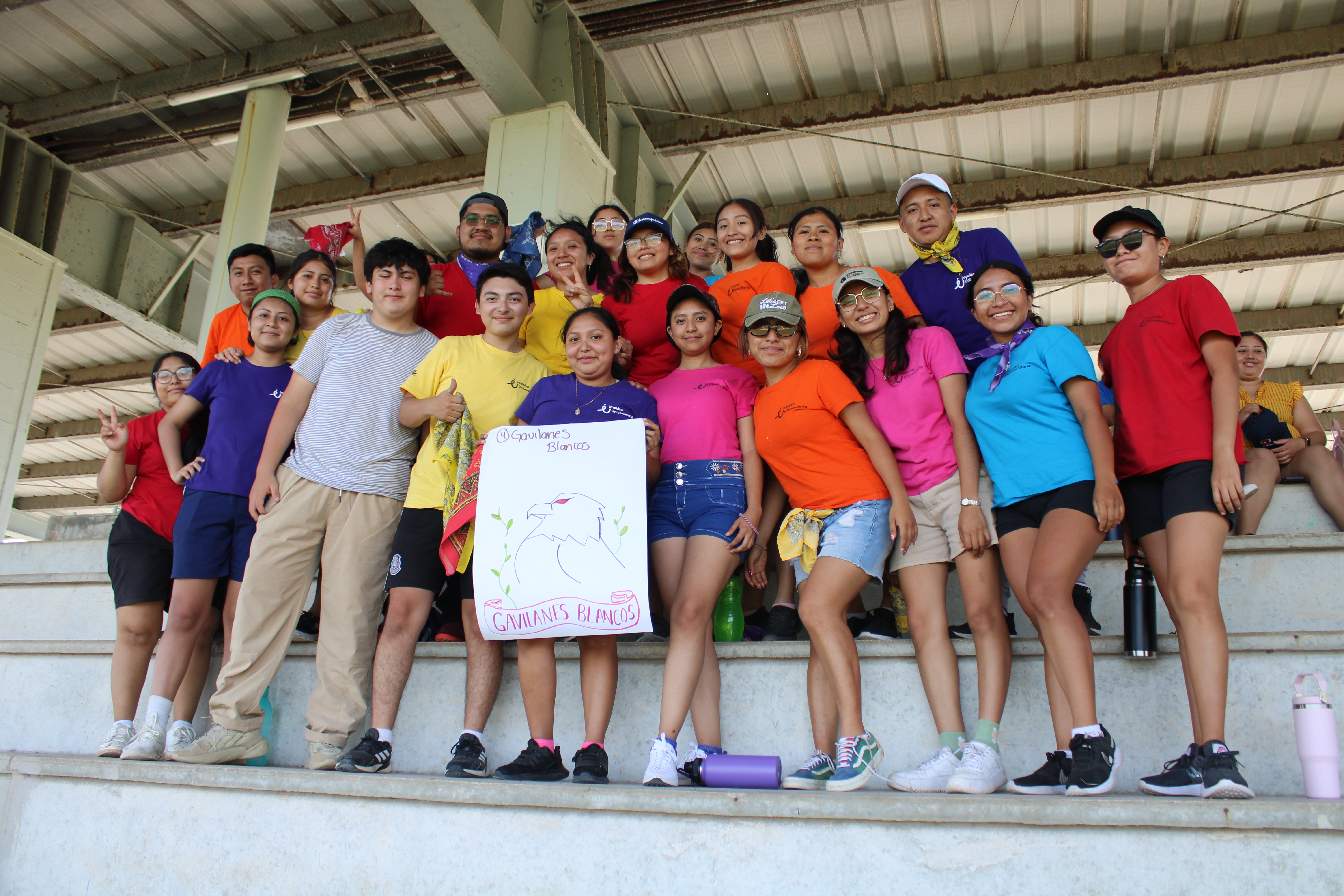 IMPLUSO UNIVERSITARIO